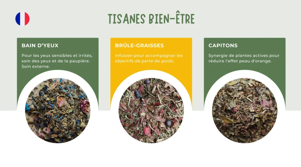 PowerPoint d’entreprise clair et dynamique