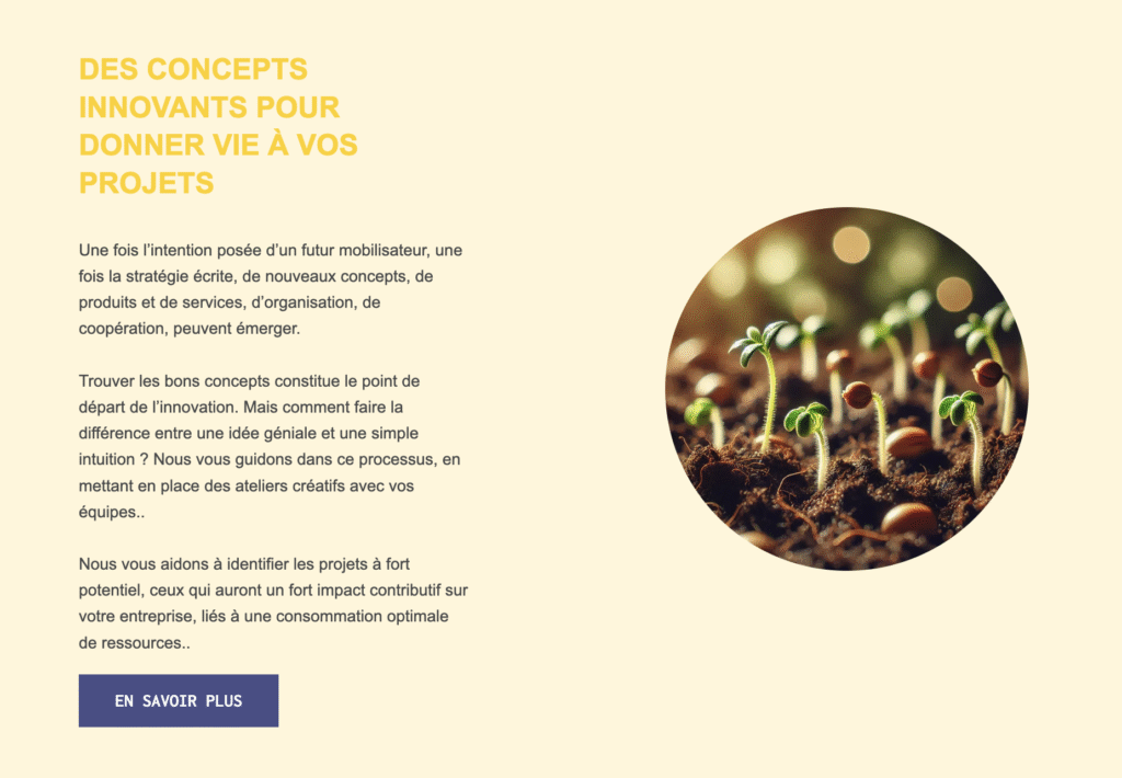 Page d’accueil personnalisée d’un site WordPress professionnel