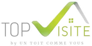 Logo top visite