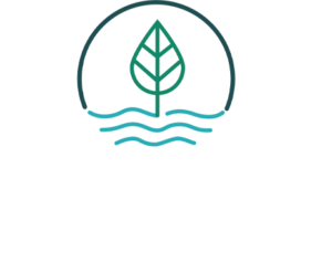 Silveo-logo
