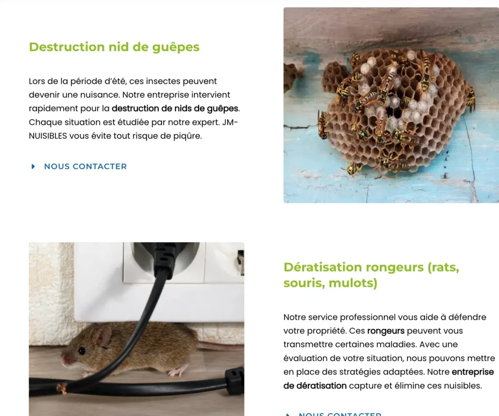 Désinsectisation de punaises de lit et cafards avec JM Nuisibles - Solutions efficaces