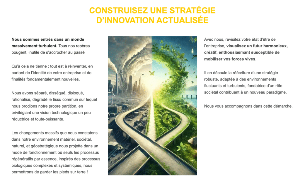Damien Marx, expert en innovation stratégique et digitale