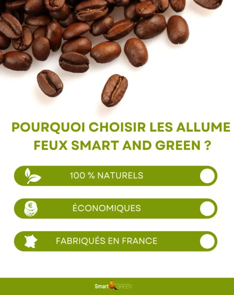 Smart and Green : stratégie digitale pour promouvoir des produits écologiques