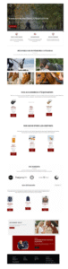 Site internet sellerie OLIS