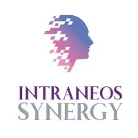 intraneos_synergy