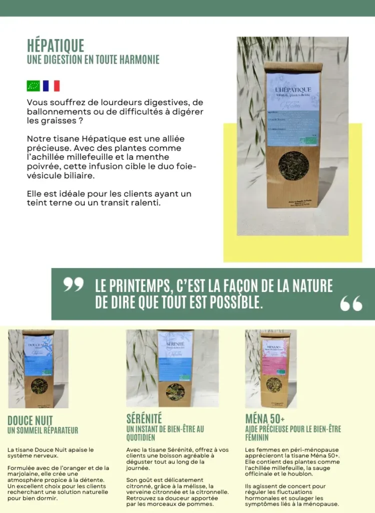 Infusions bio mises en avant dans la newsletter