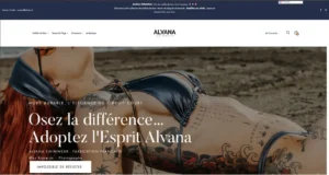 Audit SEO Alvana