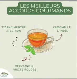 Story Instagram interactive sur les plantes et leurs vertus