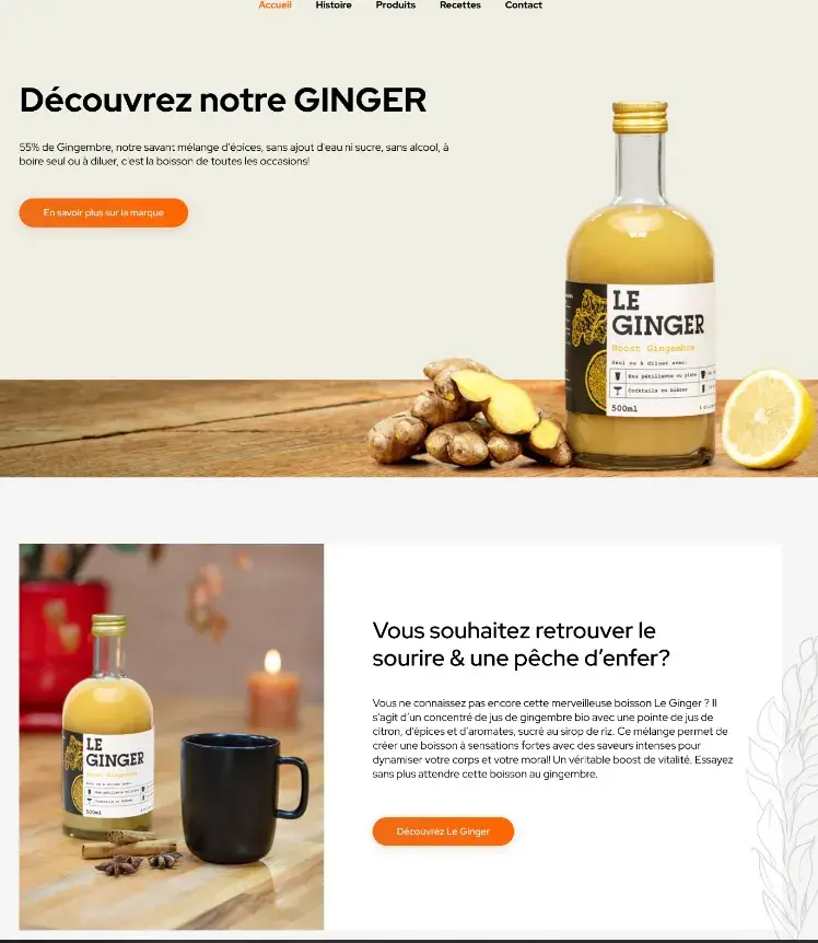 Développer une visibilité organique