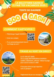 Smartphone affichant l’application SADIKOI avec interface colorée