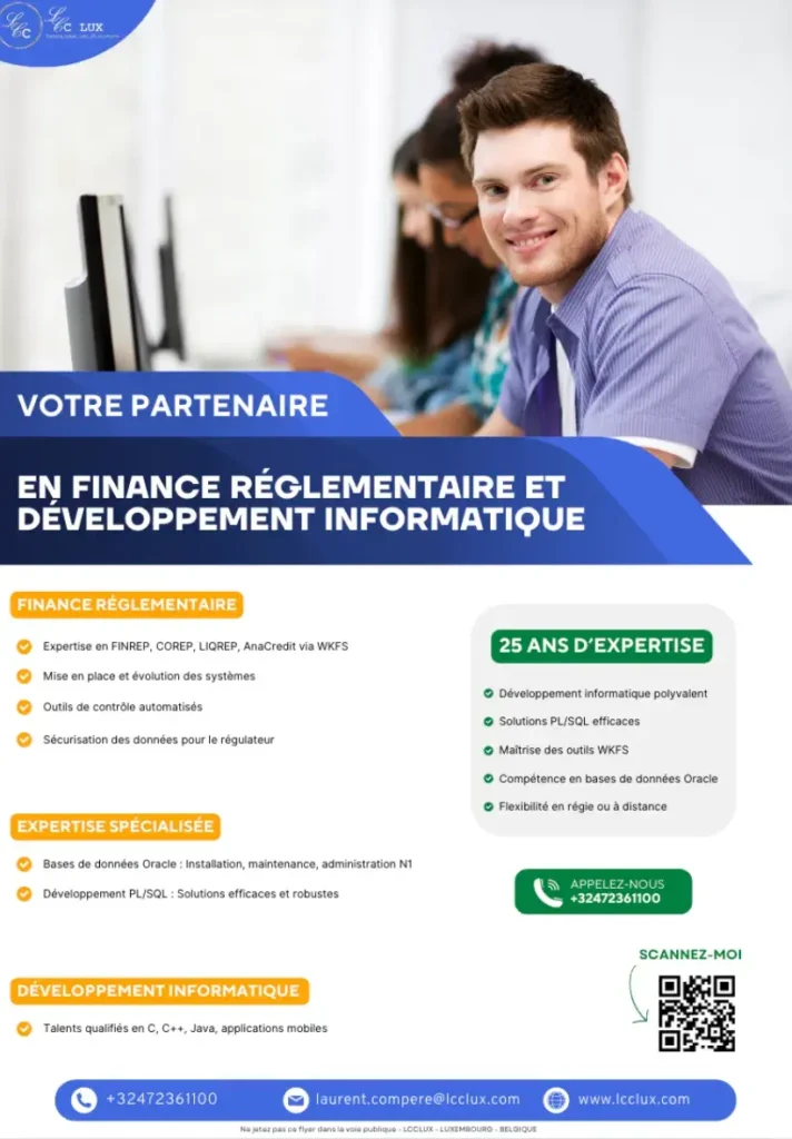 Flyer A4 présentant les services informatiques en Belgique