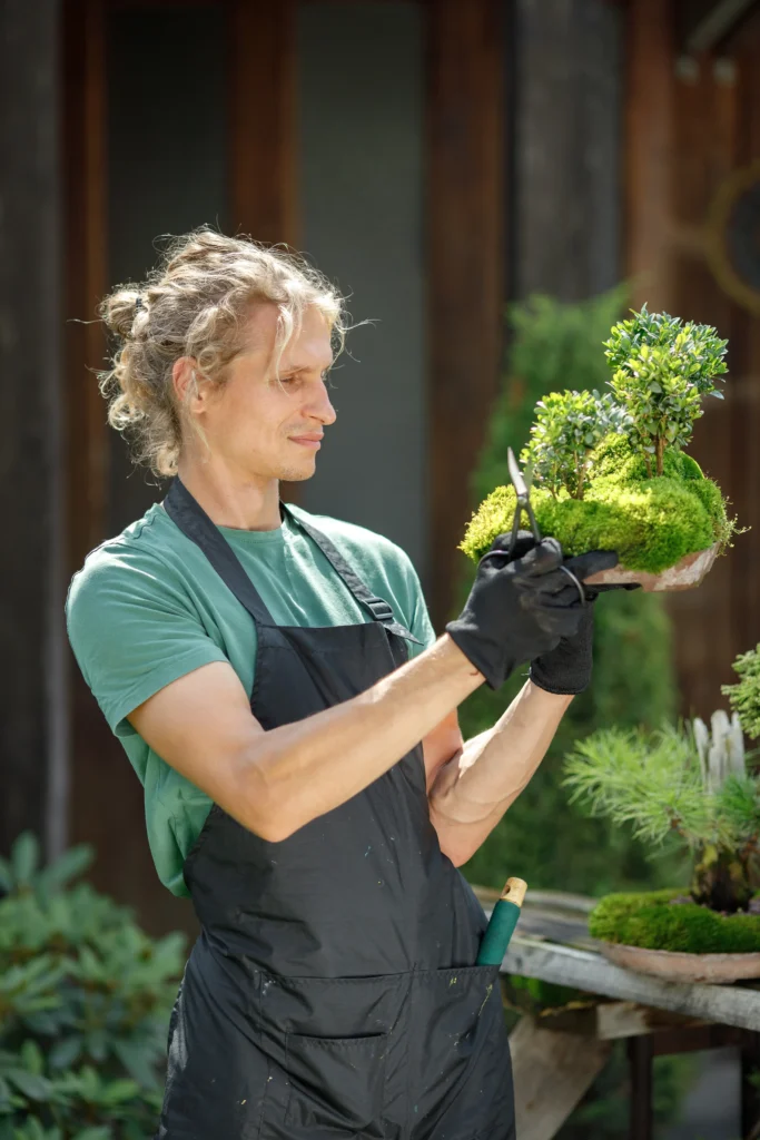 Page prestations paysagiste aménagement extérieur