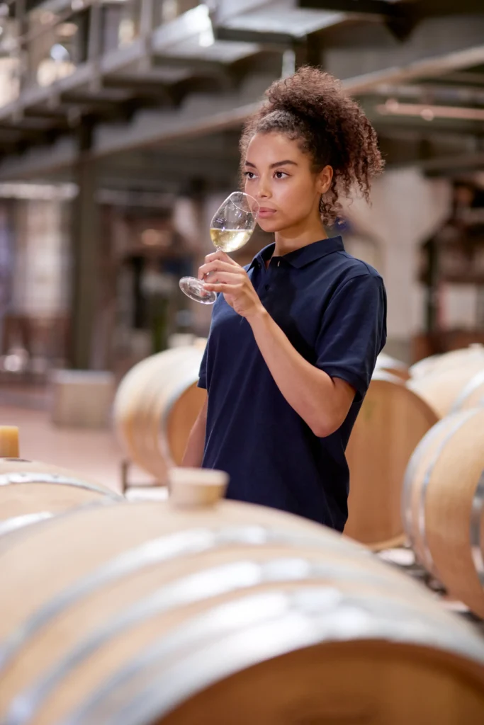 Site internet pour vigneron