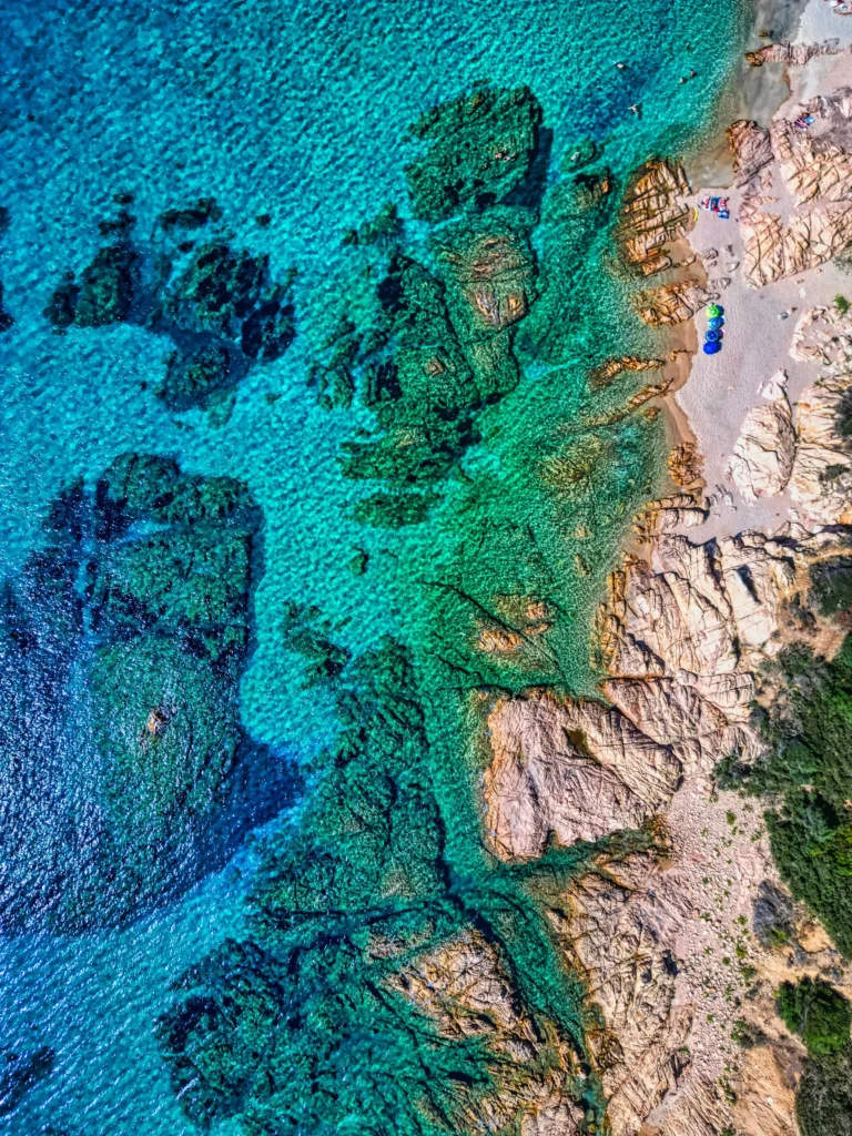 référencement naturel corse