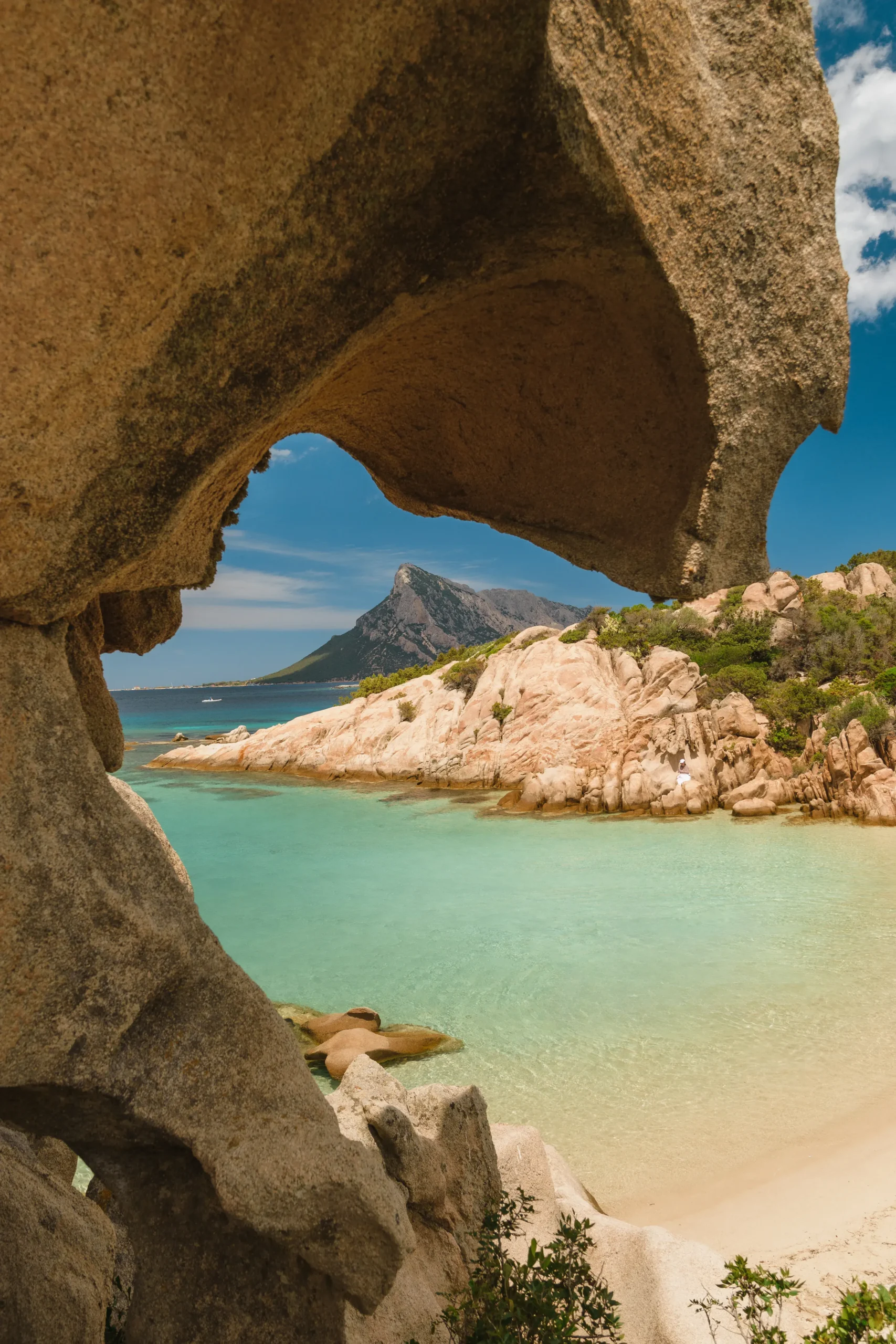 consultant référencement corse