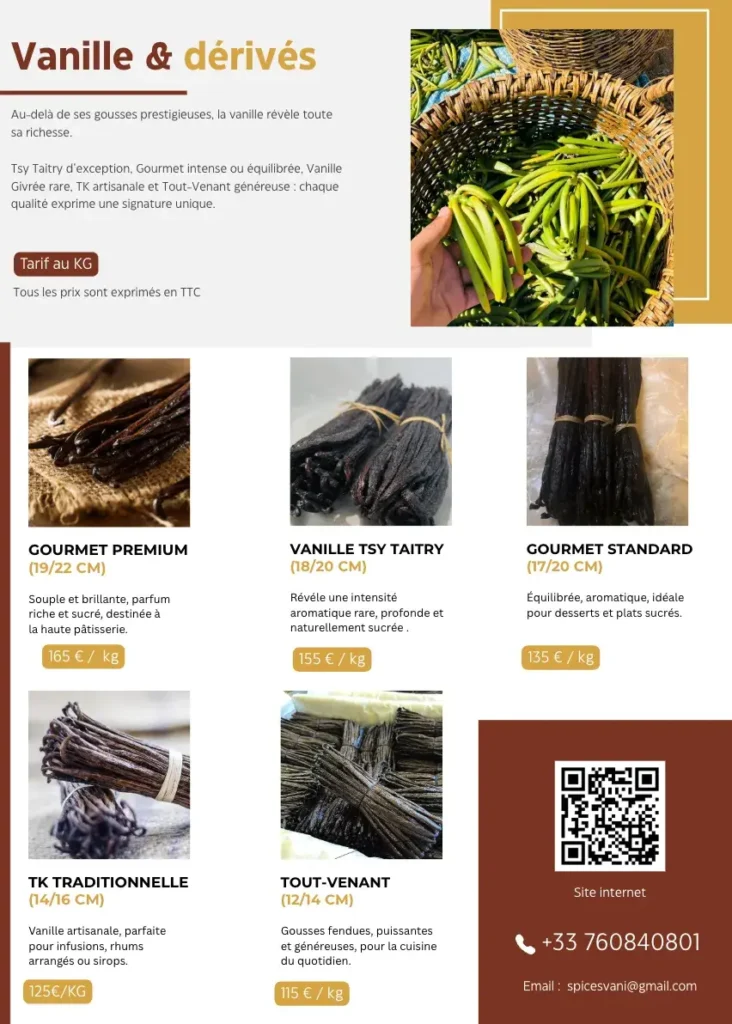 Création de catalogue produits et services