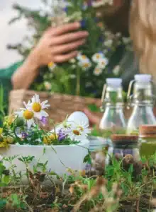 site web naturopathie