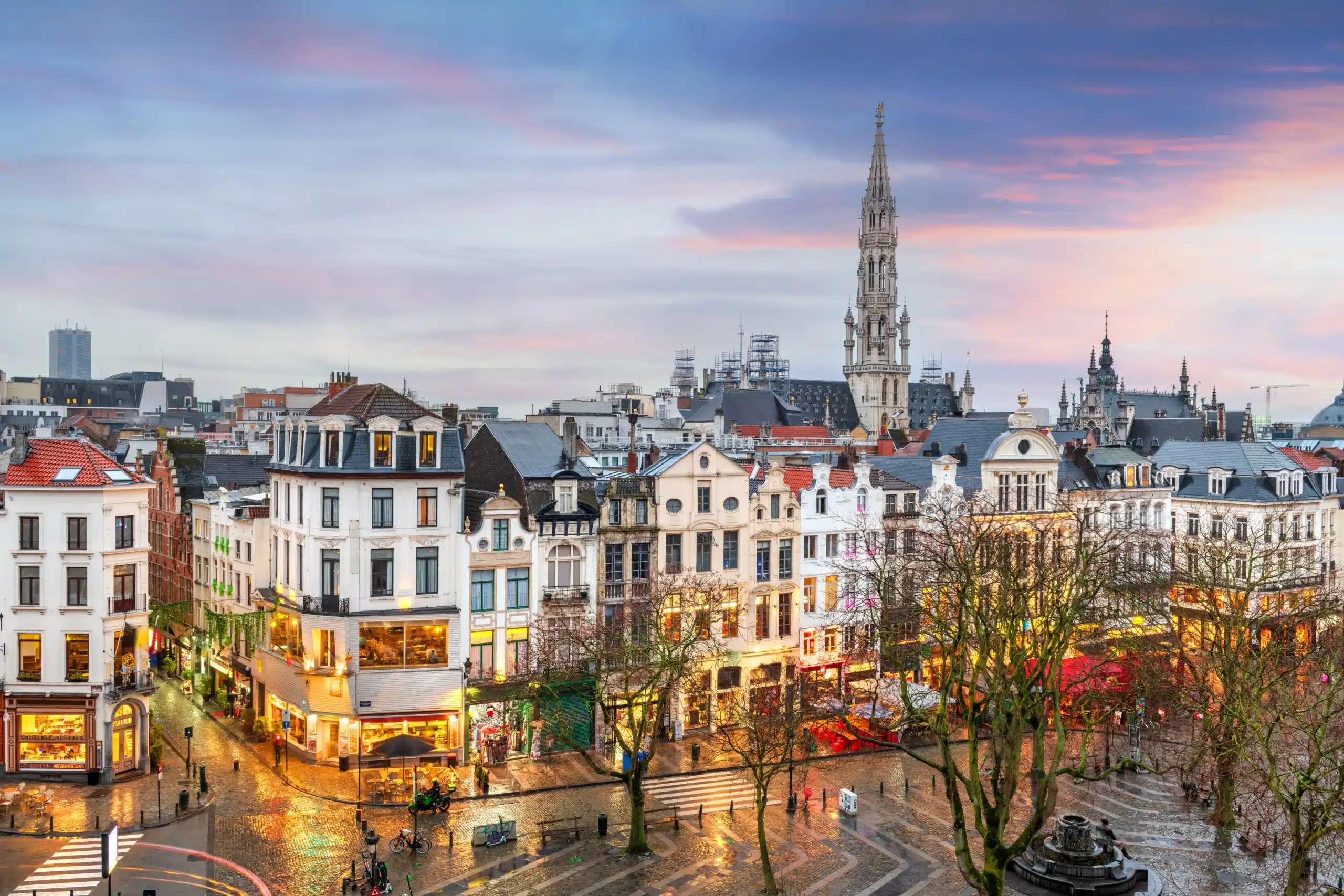 Consultant SEO Bruxelles